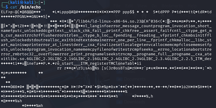 ELF kali output