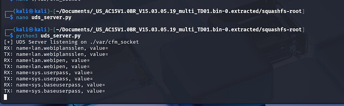 UDS server starting and listening on socket