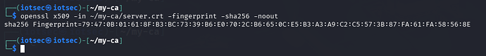 terminal showing fingerprint output